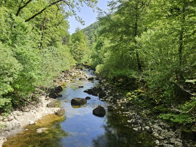 L'Areuse