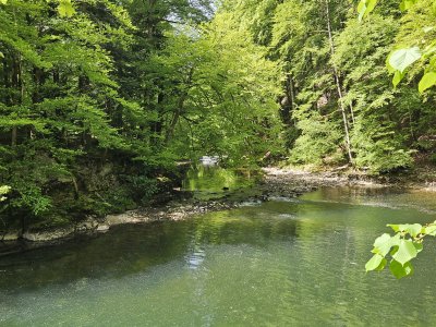 L'Areuse coule par endroits paisiblement