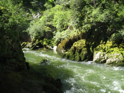 L'Areuse