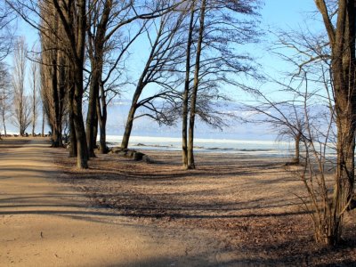 Le sentier reliant le site des menhirs de Clendy à la plage