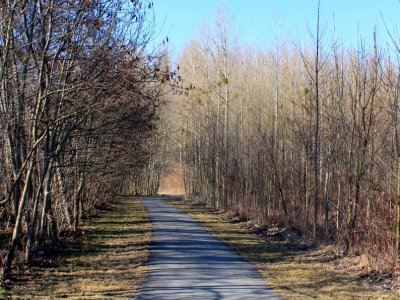 Partie de chemin goudronné