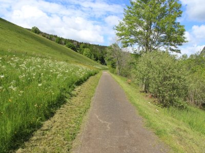 Chemin goudronné, au nord des Charbonnières
