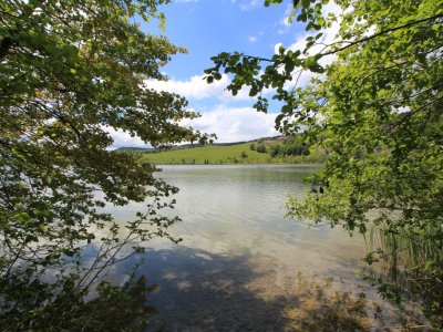 Joli coup d'il sur la Lac Brenet