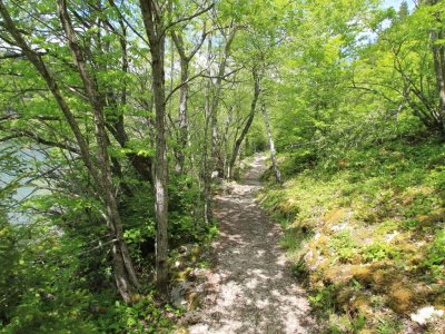 Chemin caillouteux, au nord de "Le Pont", entre lac et chemin de fer