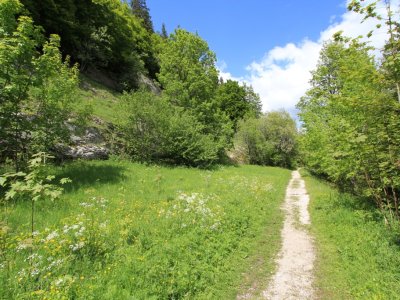Chemin caillouteux, praticable avec une poussette tout-terrain (rive nord du lac)