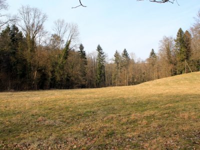 Le long du chemin
