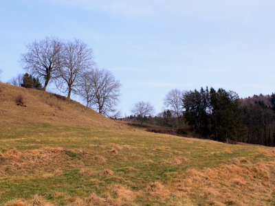 Pâturages le long du sentier