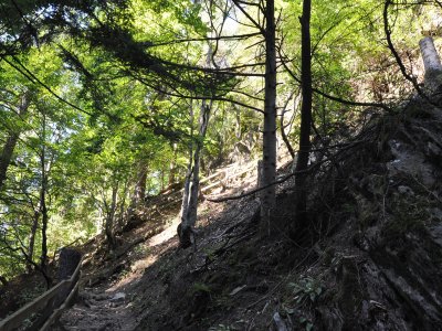 Voilà aussi la raison de mettre des bonnes chaussures car il faut aussi marcher sur des cailloux et des racines d'arbres. Dernière montée avant de passer le tourniquet