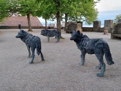 Trois loups, sur l'esplanade de la collégiale