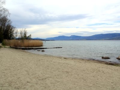 La plage de Cheyres