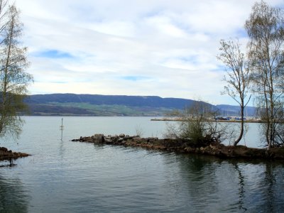 Vue sur le port de Cheyres