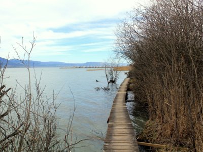 Par endroits, la passerelle passe sur le lac