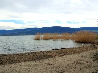 Une petite plage aux abords de Cheyres
