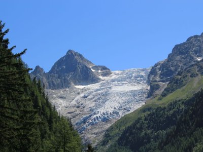 Le glacier du Trient