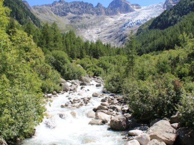Le Trient, juste au-dessous du Chalet du Glacier