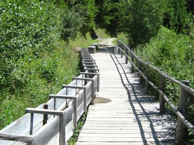 Le bisse passe dans un canal en bois