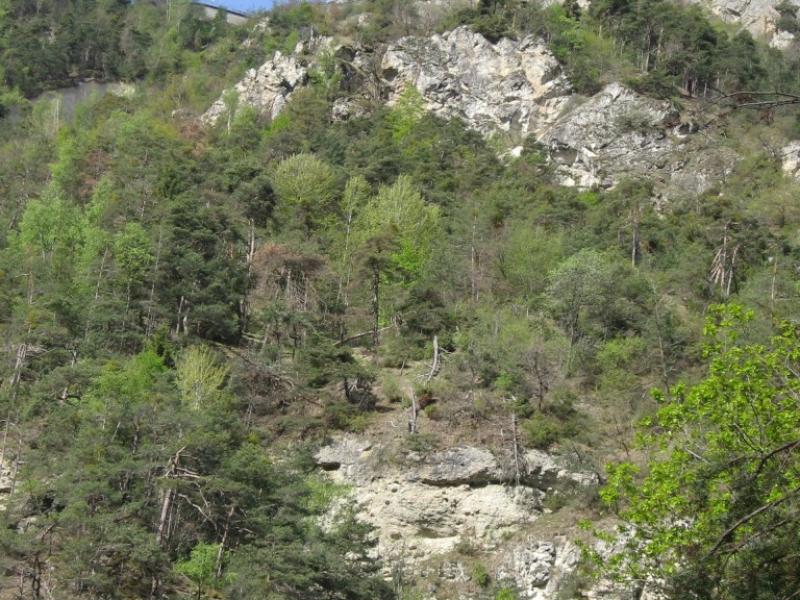 De Bramois à Euseigne par la gorge de la Borgne