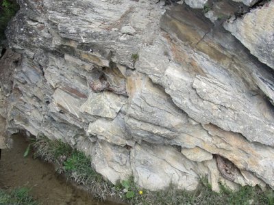 on peu voir une racine de pin qui a réussi à se frayer un passage dans la roche pour venir chercher l'eau du bisse...