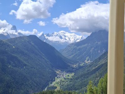 Au fond, le Mont Blanc