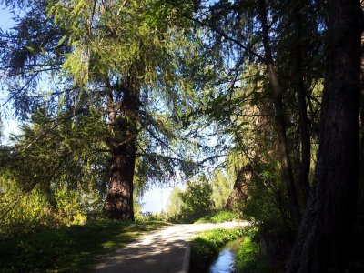 belle promenade
