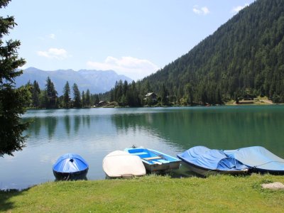 Quelques bateaux