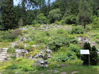 Le jardin alpin
