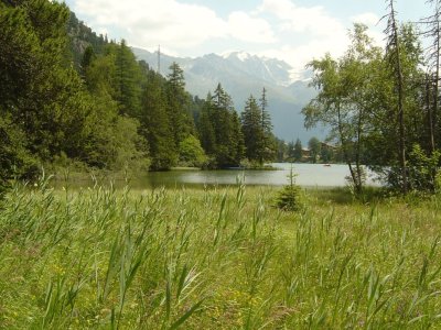 Au bout du lac, la nature est plus sauvage