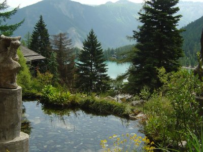 Vue sur le lac de Champex, depuis le jardin alpin