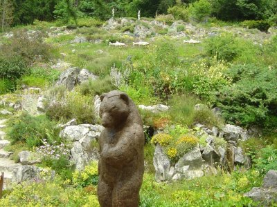Le jardin alpin