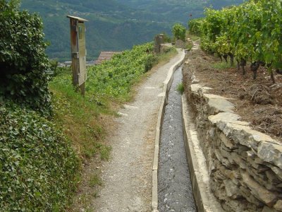Le bisse du Mont d'Orge passe au milieu des vignes