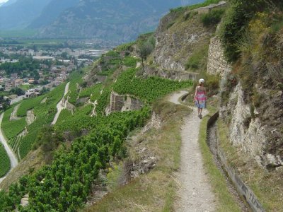 Préférer les températures pas trop élevées pour longer le bisse
