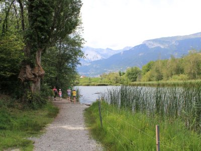 Joli coup dil sur le lac