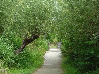 Le chemin se prête à une balade avec une poussette
