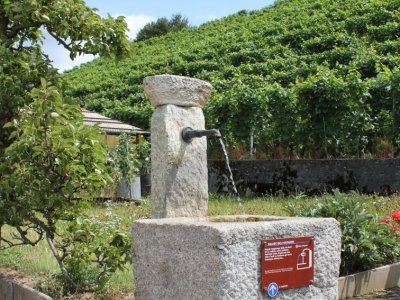 La magnifique petite fontaine du Chemin de Plan d'Essert