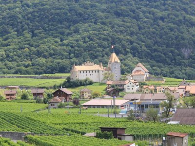 Le château d'Aigle