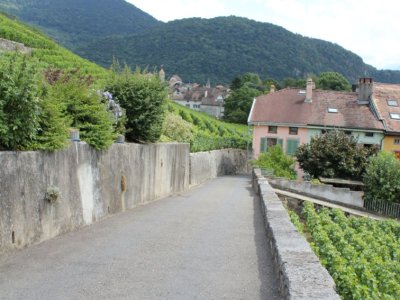 Chemin du Plan d'Essert