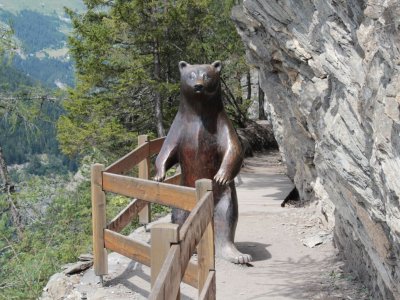 Rencontre improbable au détour du chemin