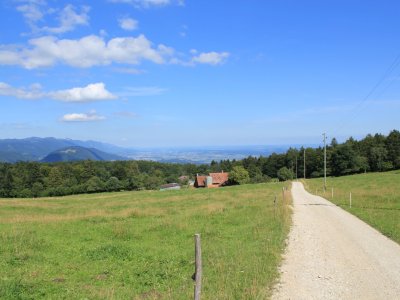 Le chemin du retour