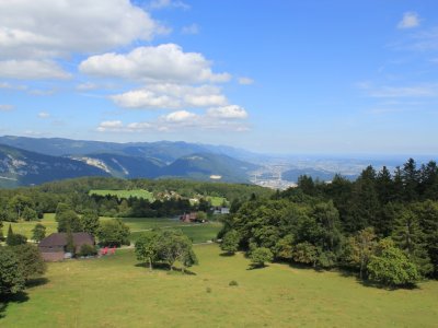 Vue depuis la Lothurm