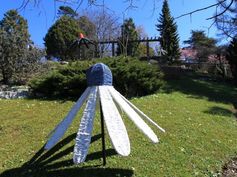 Jardin botanique de Lausanne - Montriond