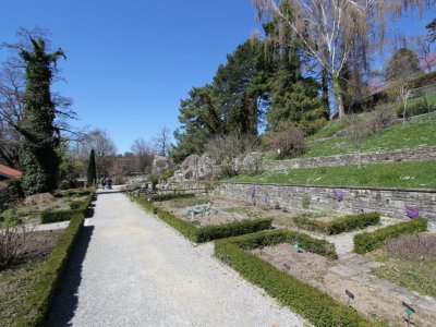 Allée principale du jardin botanique