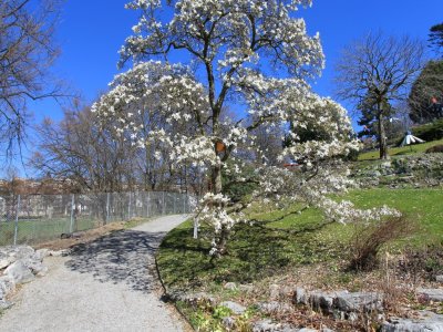 Début de la "montée"