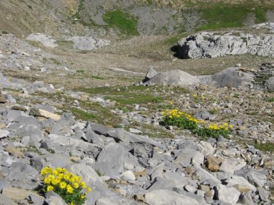 Départ de la cabane