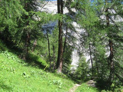 Dans la Combe des Andins
