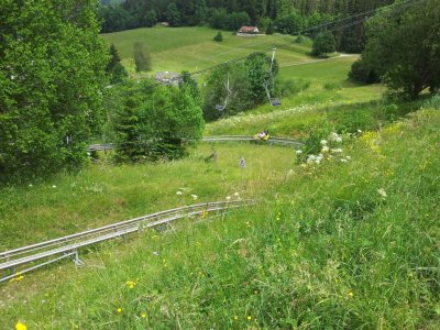 Luge d'été
