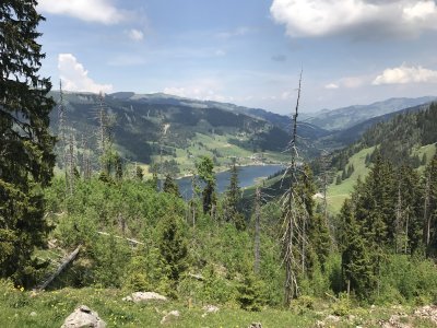 Jolie vue du Lac Noir en descendant de la Brecca