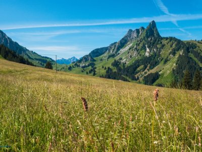 Le plateau de Riggisalp