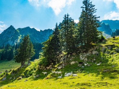 Un peut plus profondément dans le Val Brecca 