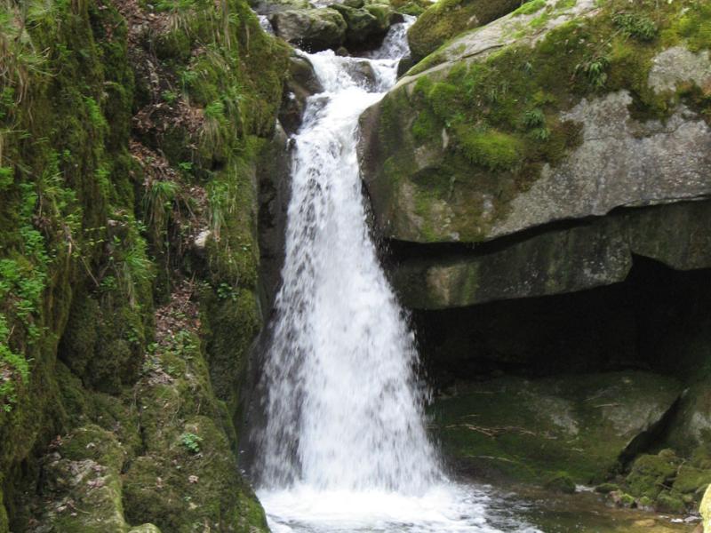 Gorges de Douanne / Twannbachschlucht