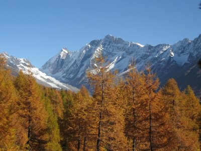 Lötschenlücke Sattelhorn et Schinhorn